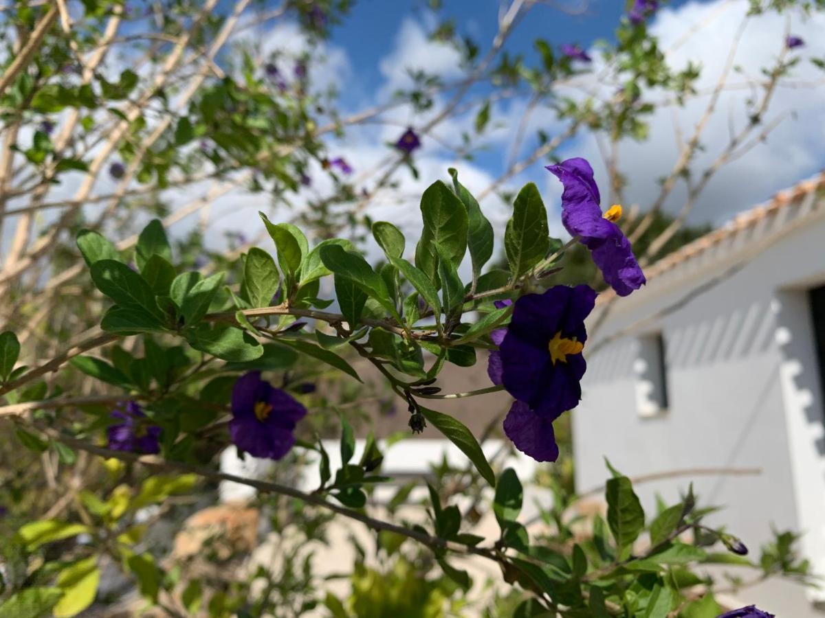 Finca Bona Nit Jávea Exteriör bild